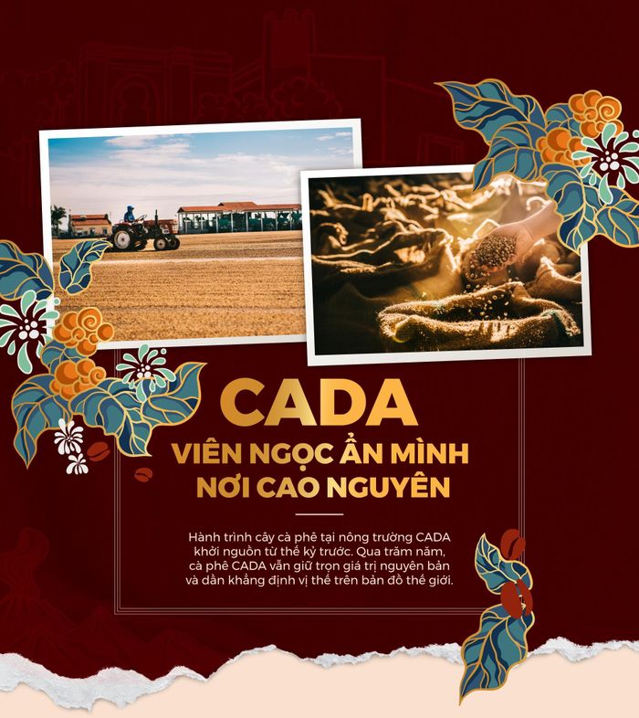 CADA - viên ngọc ẩn mình nơi cao nguyên 0