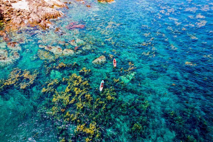 Mùa rong mơ ở cù lao Hòn Khô 6