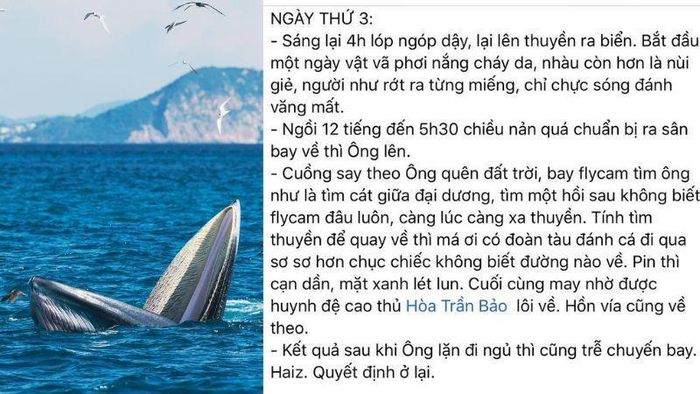 3f859f9e4ddca482fdcd May mắn hơn cô luật sư Woo Young Woo, travel Blogger Hải An thành công săn ảnh cá voi 16
