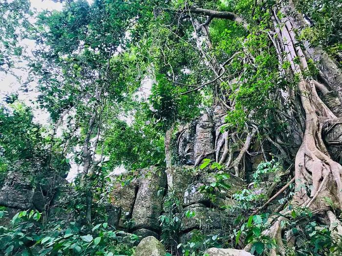 3f93eab20ff0e6aebfe1 Độc đáo thành đá Tà Kơn giữa rừng Vĩnh Thạnh, Bình Định 22