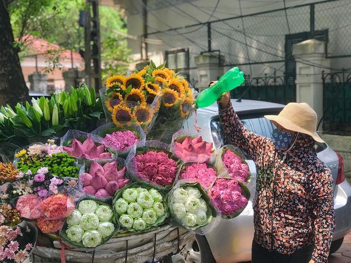 Phố Hà Nội rực rỡ và mới lạ với sắc sen Quan Âm 24