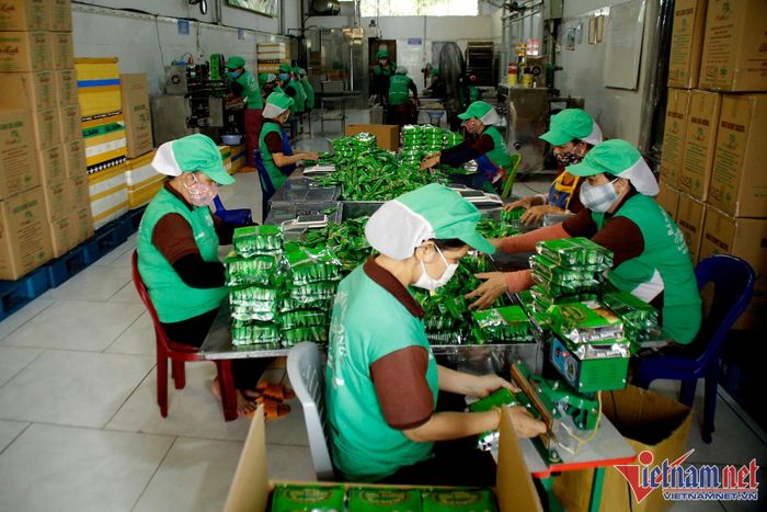 41f78401b44c5d12045d Người đàn ông mang bánh dừa nướng 'chu du' xứ sở kim chi 25