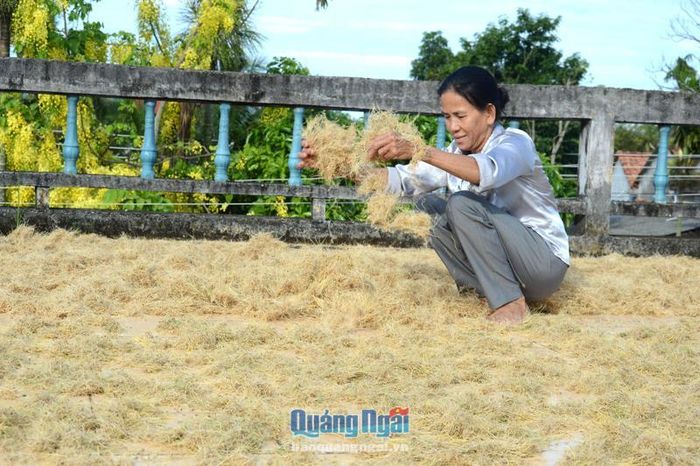 453627c5ca8723d97a96 Đưa hương mạch nha bay xa 1