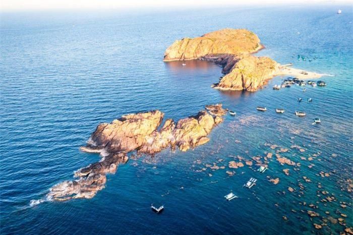 48da5cb793f57aab23e4 Mùa rong biển tựa cánh đồng dưới nước ở Quy Nhơn 8