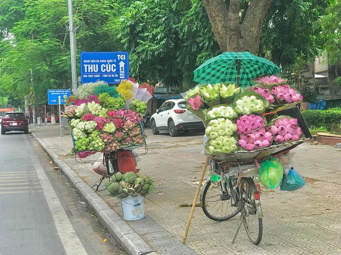 Phố Hà Nội rực rỡ và mới lạ với sắc sen Quan Âm 26