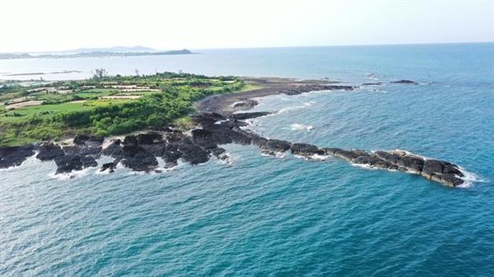 4f1e88c55c87b5d9ec96 Sắc màu lung linh san hô ở biển duyên hải miền Trung 14