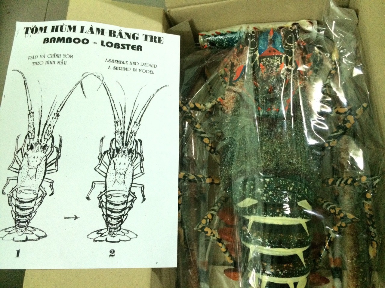 55a8fa43af994bc71288