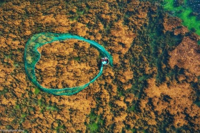 55ba15d6f5941cca4585 Hình ảnh ngư dân tung lưới đánh cá đầy 'ảo diệu' ở Bình Định khiến ai cũng trầm trồ về cảnh sắc Việt Nam 9