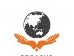 Công ty cổ phần tư vấn và đầu tư Pegasus