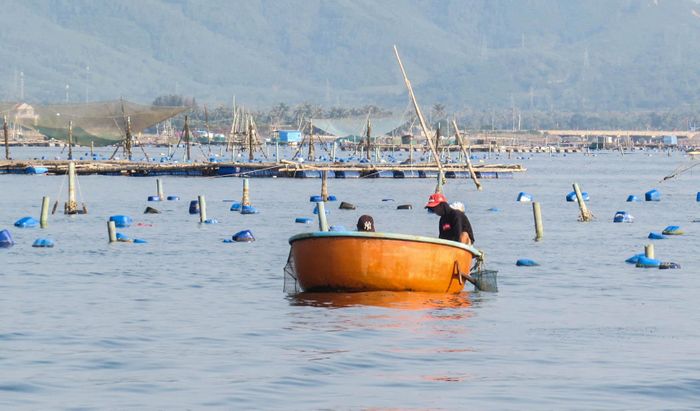 Thân thương thuyền thúng 16