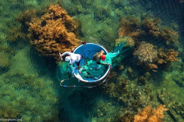 60d339bfd9fd30a369ec Hình ảnh ngư dân tung lưới đánh cá đầy 'ảo diệu' ở Bình Định khiến ai cũng trầm trồ về cảnh sắc Việt Nam 6