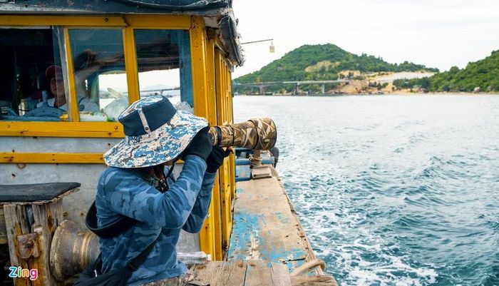 Mẹ con cá voi săn mồi ở vùng biển Đề Gi 10