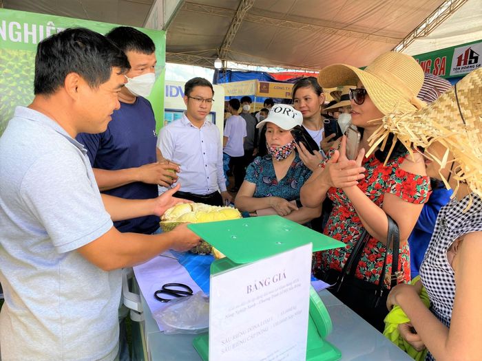 65154ec0818268dc3193 Du khách đổ về 'thủ phủ sầu riêng' xe nối đuôi dài cả cây số, khách thoải mái ăn tại vườn 13