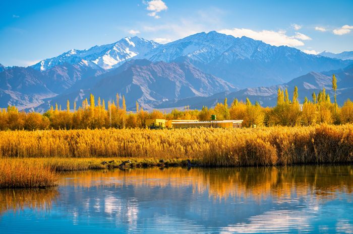 65caa271923c7b62222d Khách Việt lạc đường, phải ngủ trong đồn cảnh sát ở 'tiểu Tây Tạng' 14