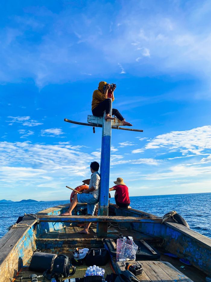 6671c06a1228fb76a239 May mắn hơn cô luật sư Woo Young Woo, travel Blogger Hải An thành công săn ảnh cá voi 21