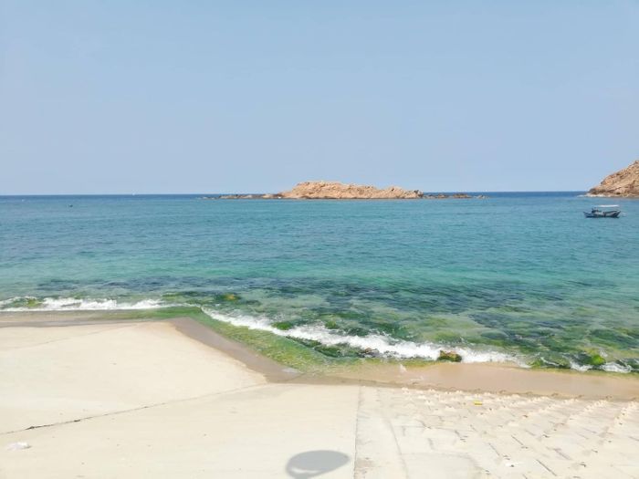 667beade0c9ce5c2bc8d Nhơn Hải mùa rêu 1