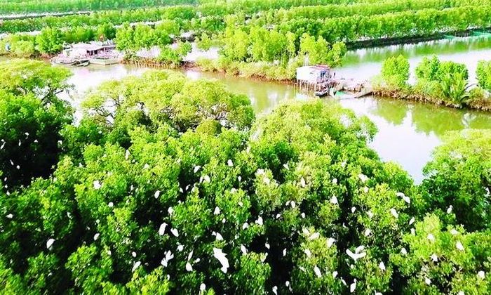 69502eeddeaf37f16ebe Trải nghiệm Cồn Chim 5