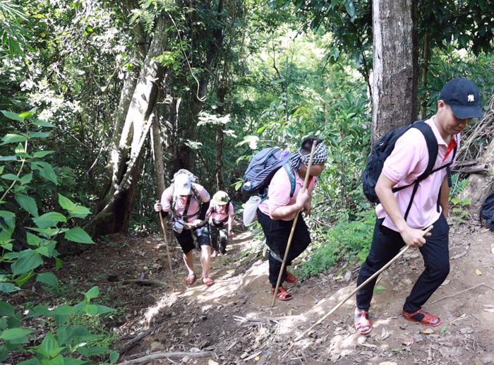 Công ty C.P. Việt Nam với hành trình mang ánh sáng lên vùng cao 0