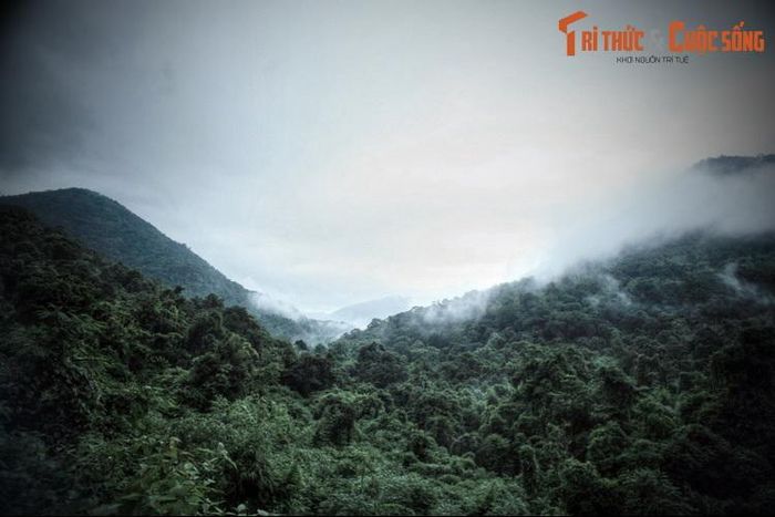 Giải mã chuyện liêu trai bí ẩn trên đèo Bảo Lộc 12