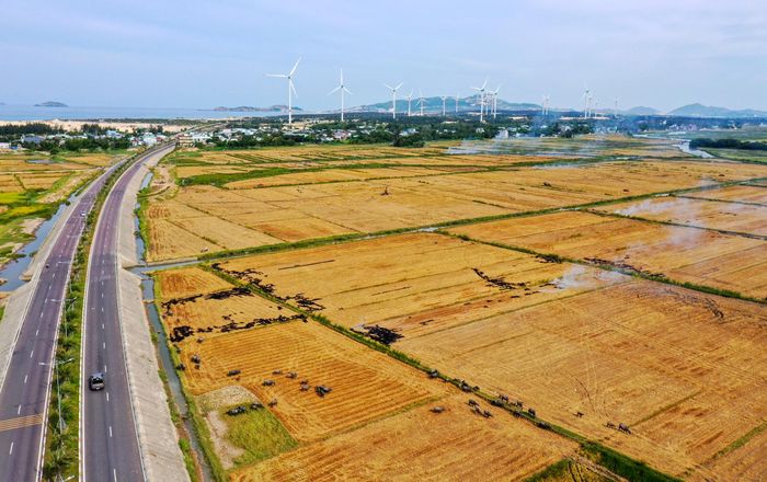 Phong cảnh hữu tình trên tuyến đường ven biển ở Bình Định 20