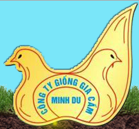 CÔNG TY TNHH GIỐNG GIA CẦM MINH DƯ