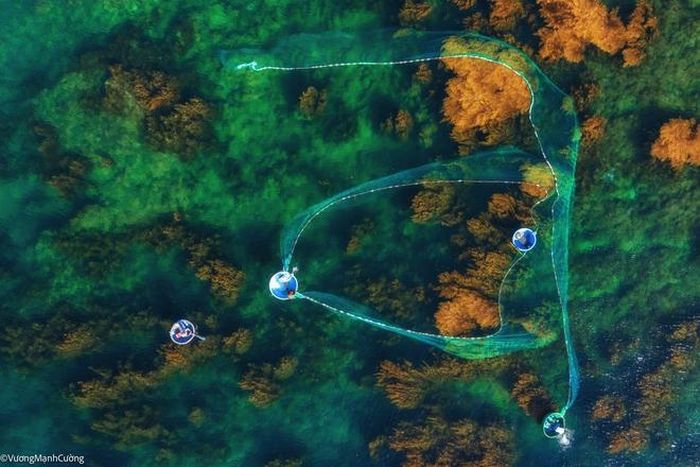 7372271ec75c2e02774d Hình ảnh ngư dân tung lưới đánh cá đầy 'ảo diệu' ở Bình Định khiến ai cũng trầm trồ về cảnh sắc Việt Nam 2