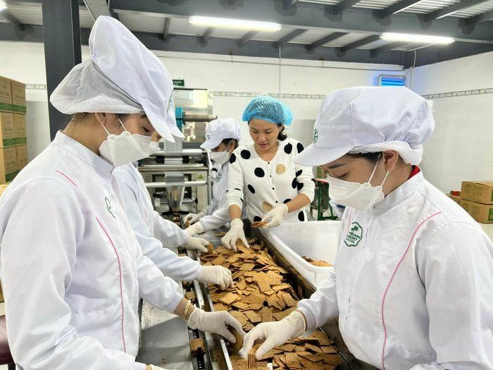 'Khoác áo mới' cho dừa Tam Quan để vươn ra thị trường thế giới 12