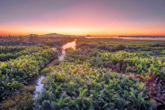 Ấn tượng cảnh sắc bình minh đẹp mơ màng trên khắp Việt Nam 7