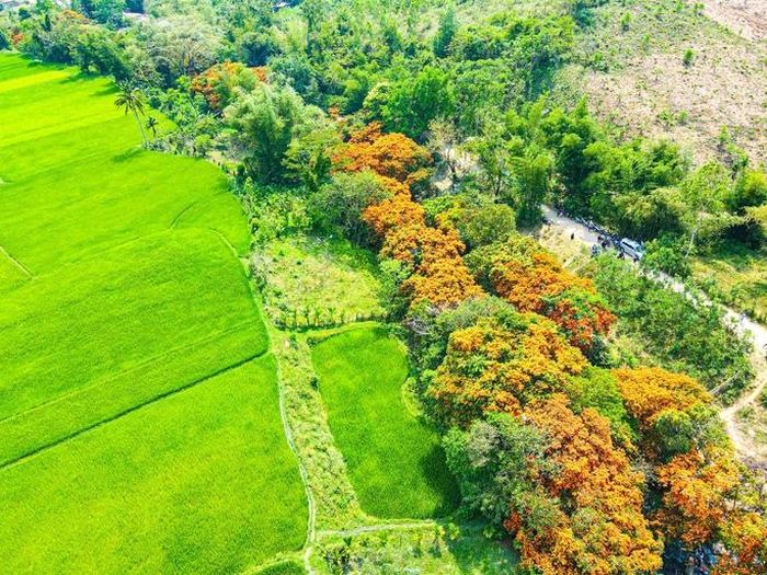 892ca3d44a96a3c8fa87 Vĩnh Thạnh - Điểm đến mới của du lịch Bình Định 1