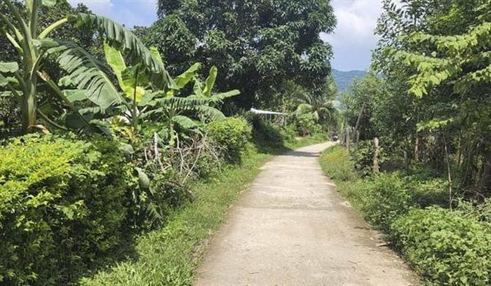 Đồng bào Bana làng Gia Trung thực hiện lối sống xanh 0