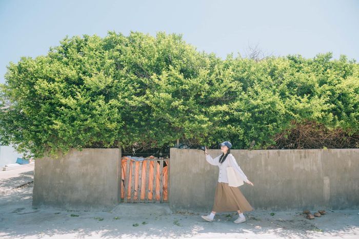 9536f428706a9934c07b Chuyến đi 4.000 km xuyên Việt sau khi tốt nghiệp đại học 29