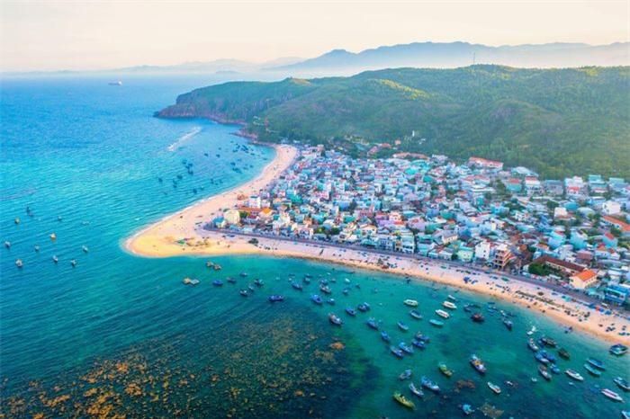 Mùa rong biển tựa cánh đồng dưới nước ở Quy Nhơn 0