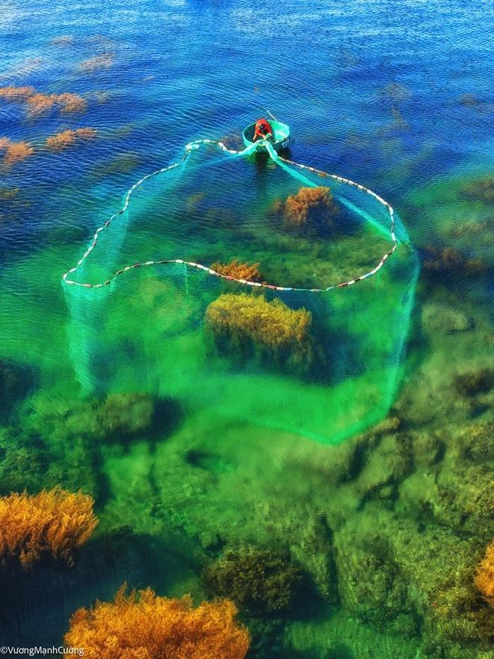 a07ffd131d51f40fad40 Hình ảnh ngư dân tung lưới đánh cá đầy 'ảo diệu' ở Bình Định khiến ai cũng trầm trồ về cảnh sắc Việt Nam 7