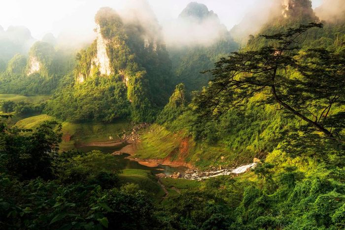 Ấn tượng cảnh sắc bình minh đẹp mơ màng trên khắp Việt Nam 40