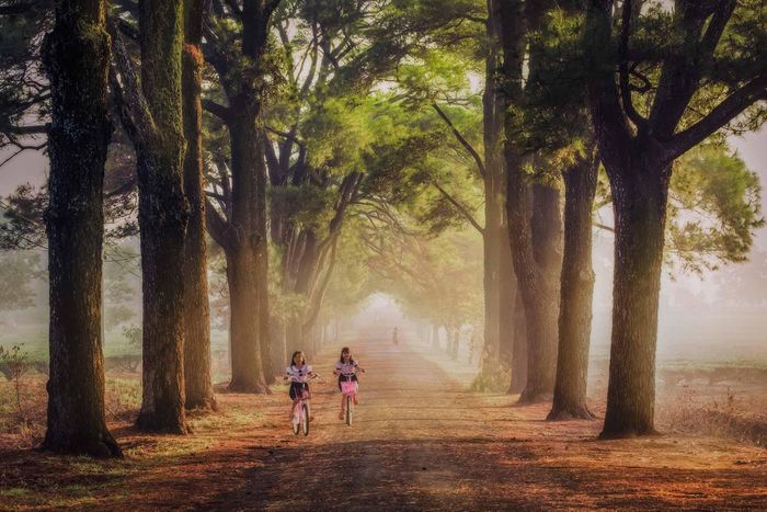 Ấn tượng cảnh sắc bình minh đẹp mơ màng trên khắp Việt Nam 10