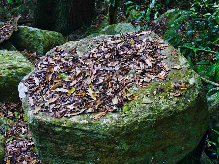 a7297008954a7c14255b Độc đáo thành đá Tà Kơn giữa rừng Vĩnh Thạnh, Bình Định 27