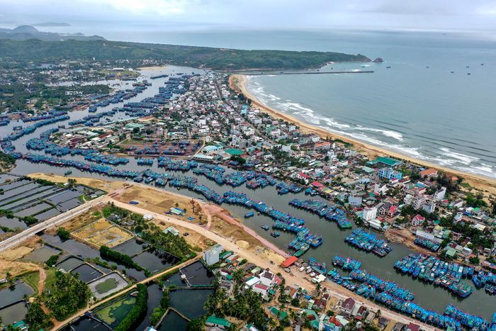 Phong cảnh hữu tình trên tuyến đường ven biển ở Bình Định 0