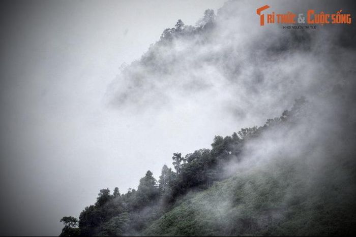 Giải mã chuyện liêu trai bí ẩn trên đèo Bảo Lộc 8