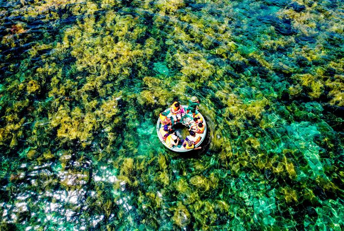 Mùa rong mơ ở cù lao Hòn Khô 4