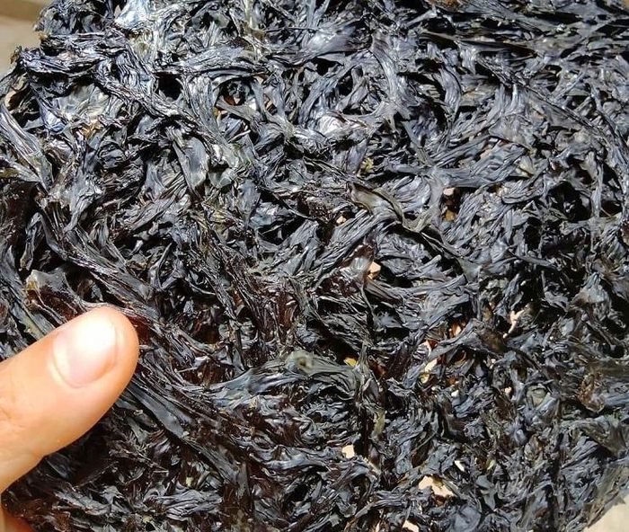 Vào mùa 'lộc trời' mọc lên từ đá, người dân đi lấy về bán giá hàng triệu đồng/kg 16