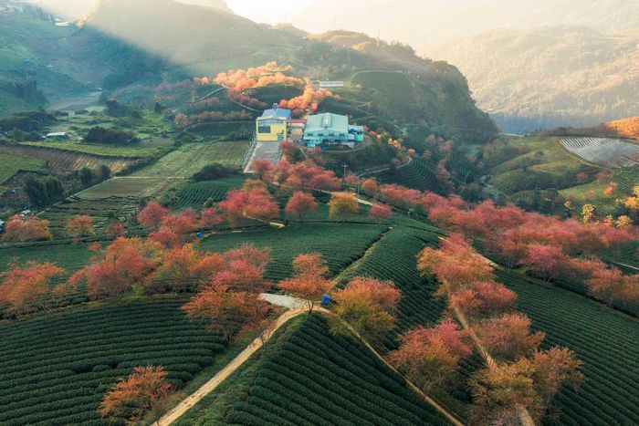 Ấn tượng cảnh sắc bình minh đẹp mơ màng trên khắp Việt Nam 38