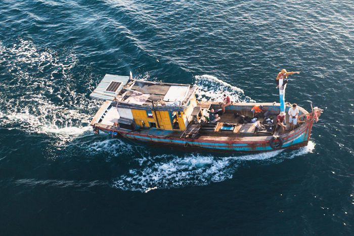 4 ngày lênh đênh biển Đề Gi, leo cột thuyền săn khoảnh khắc cá voi đớp mồi tuyệt đẹp 25