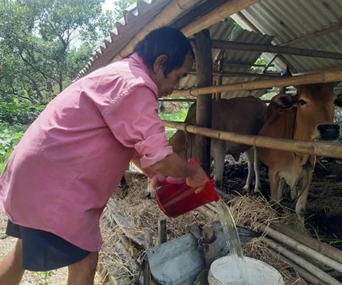 c956acfa9cb775e92ca6 Đồng bào Bana làng Gia Trung thực hiện lối sống xanh 7