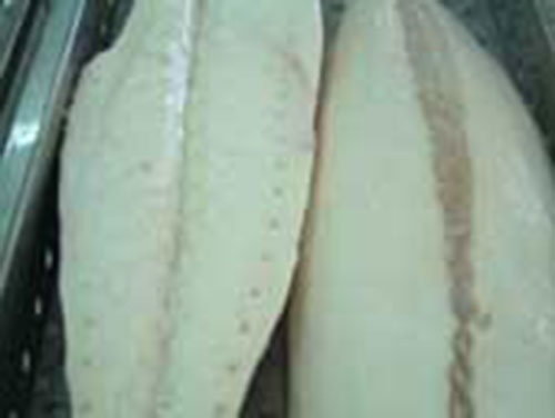 ca-ngu-phi-le-2 Cá ngừ phi lê