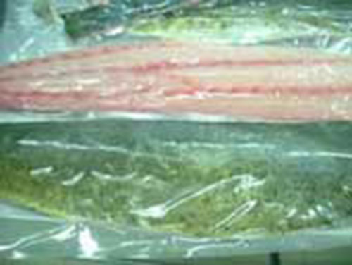 ca-thu-hu-fillet Cá thu hủ Fillet