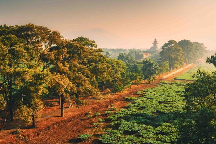 Ấn tượng cảnh sắc bình minh đẹp mơ màng trên khắp Việt Nam 12