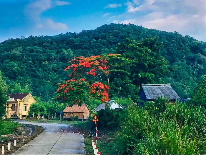 ce6de04c050eec50b51f Độc đáo thành đá Tà Kơn giữa rừng Vĩnh Thạnh, Bình Định 8