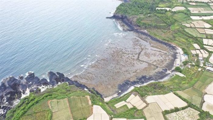 d055238ef7cc1e9247dd Sắc màu lung linh san hô ở biển duyên hải miền Trung 7