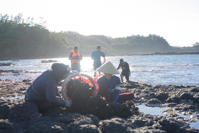 Săn nhum ở gành biển 24