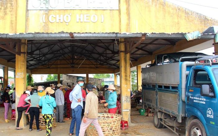 d35e64bde6ff0fa156ee Về Quảng Nam xem chợ 'phụ nữ bồng heo' 1